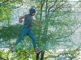 The net at Tree Tops Trail high ropes adventure - Tenby, Pembrokeshire, South West Wales