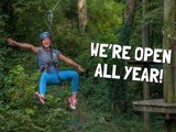Tree Tops Trail high ropes adventure course is open all year - Tenby, Pembrokeshire, South West Wales